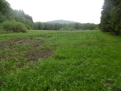 Naturschutzgebiet Gutmecke und Renau von Südwesten.