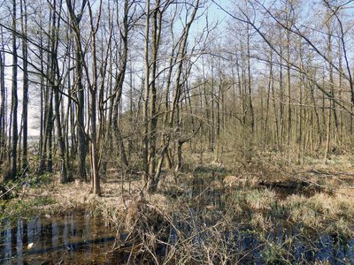 Das in 1979 als Naturschutzgebiet ausgewiesene "Ramper Moor" besitzt eine Fläche von rund 100 Hektar und hat den CDDA-Code 165094. Das Naturschutzgebiet ist ein Teil des Landschaftsschutzgebietes...