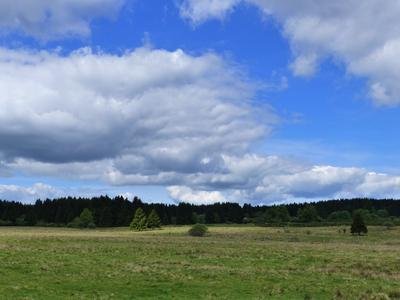 Morgen im Naturschutzgebiet Lipper Höhe