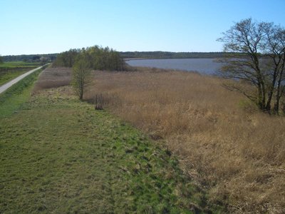 Naturschutzgebiet Altwarper Binnendünen, Neuwarper See und Riether Werder - Südteil. Blick vom Aussichtsturm in Richtung Westen.