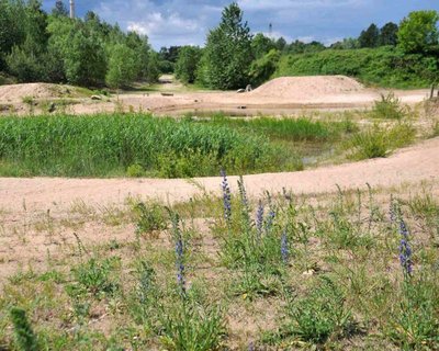 Naturschutzgebiet Kiesgrube Wüstmark, Schwerin, Mecklenburg-Vorpommern.