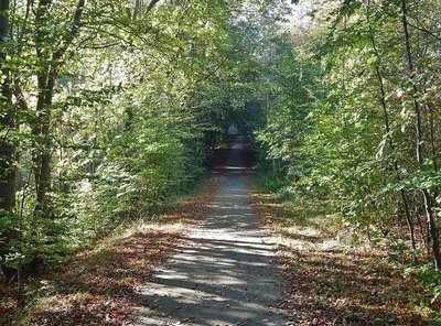 Ostseeküstenradweg in Kalkhorst, randlich am Naturschutzgebiet „Brooker Wald“
