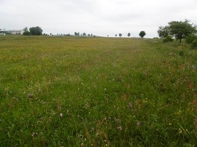 Bereich Pitzfeld im Besitz der NRW-Stiftung im Naturschutzgebiet Medebach-Frauenbruch. Naturschutzgebiet Medebach-Frauenbruch Gute Bilder Erweitert ... Naturschutzgebiet Medebach-Frauenbruch Gute...