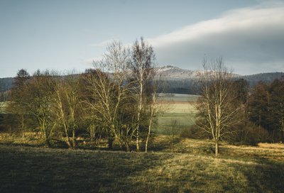 NSG Ponnholzbachtal