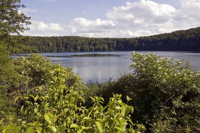Pulvermaar, Eifel