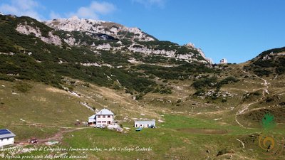 Malga Campobrun nella Riserva naturale Campobrun