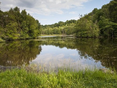 Naturschutzgebiet Rosenheimer Lay, Rheinland-Pfalz, Deutschland