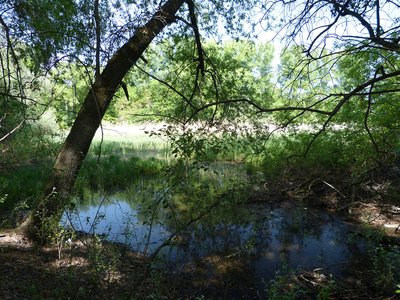 Schafwiesen Nature Reserve (May 2018)