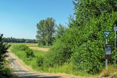 Nature reserve Scheidelberger Woog