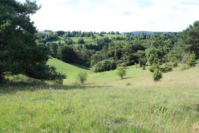 View of the Aubach valley, August 2017