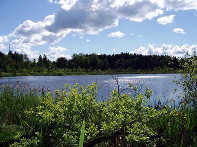 Schwarzer See (Schlemmin, Bernitt, Mecklenburg-Vorpommern)
