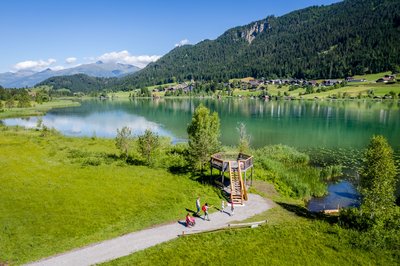 Ornithological platform in the naturepark weissensee