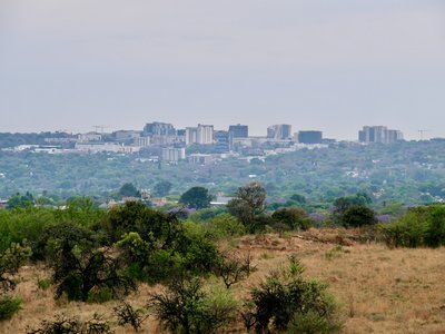 Rosebank business district viewed from Melville Koppies Nature Reserve.