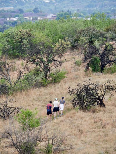 Hikers at Melville Koppies Nature Reserve