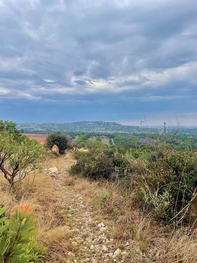 Melville Koppies forms part of the Witwatersrand Ridge.