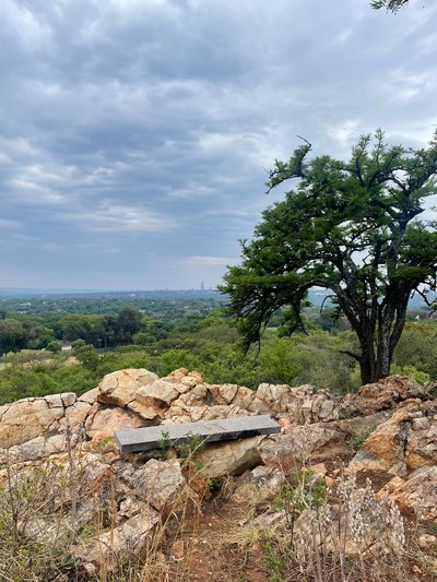Bench overlooking Johannesburg at Melville Koppies Nature Reserve