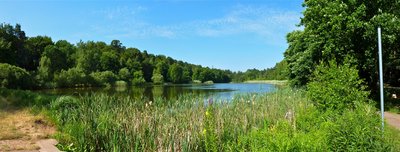 Panorama Vogelwoog (Kaiserslautern, Germany)