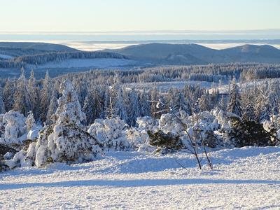 Grindenlandschaft im Nationalpark Schwarzwald