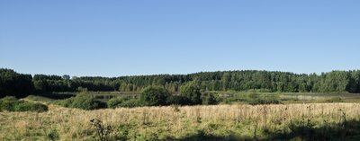 Nature reserve Wölferlinger Weiher, Westerwald, Germany.