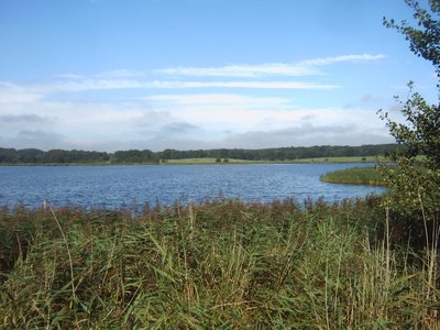 Wreecher See, Blick vom Ostufer, Rügen, Deutschland
