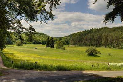 Im Wammesbachtal zwischen Alendorf und Wiesbaum, Naturschutzgebiet EU-002 „Lampertstal und Alendorfer Kalktriften mit Fuhrbach und Mackental“ im Kreis Euskirchen