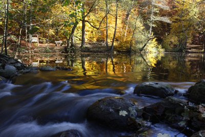 Wald und Wasser