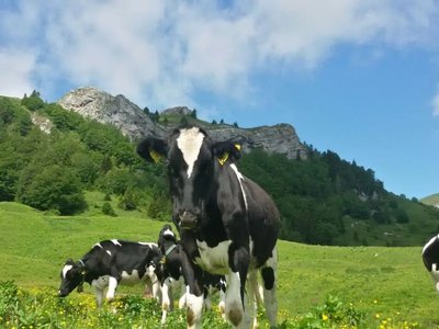 Monte Baldo di Brentonico