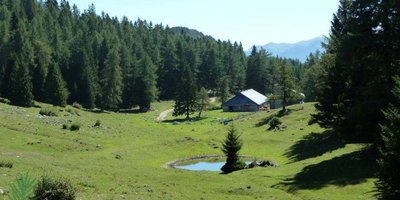 Riserva naturale Scanuppia